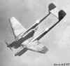 fw189.jpg (45642 octets)